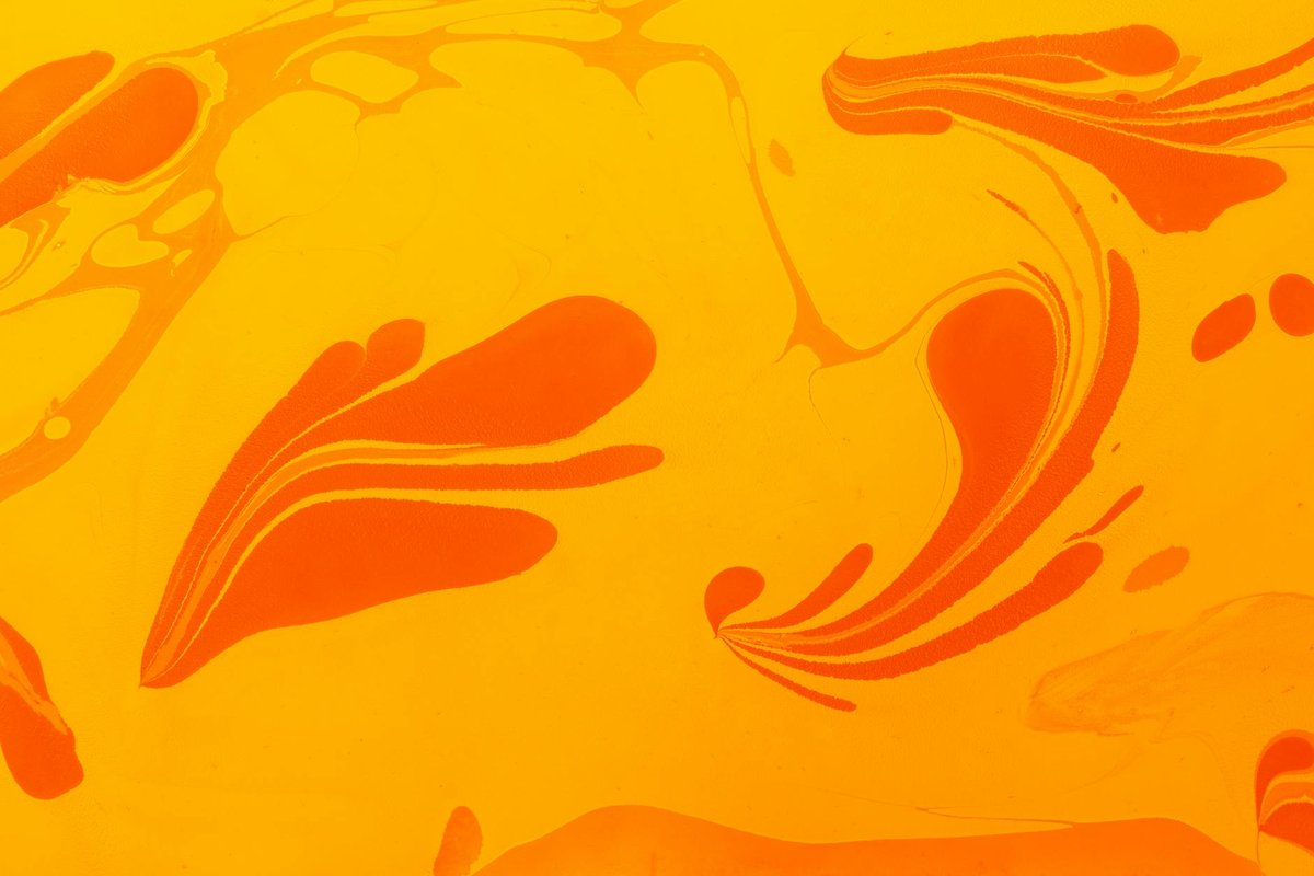 Goldfish cuidados: agua, dieta y enfermedades